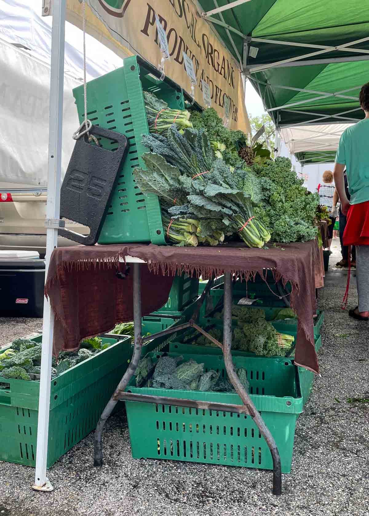 Example of a real farmer at the farmers market with reusable containers for their produce.