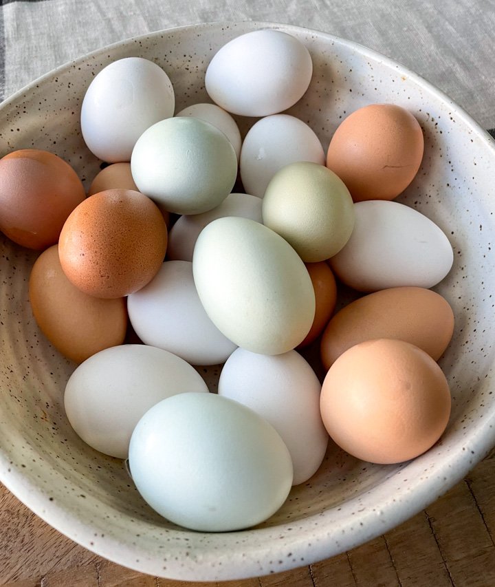 Pasture Raised Farm Fresh Eggs in a Pretty Bowl