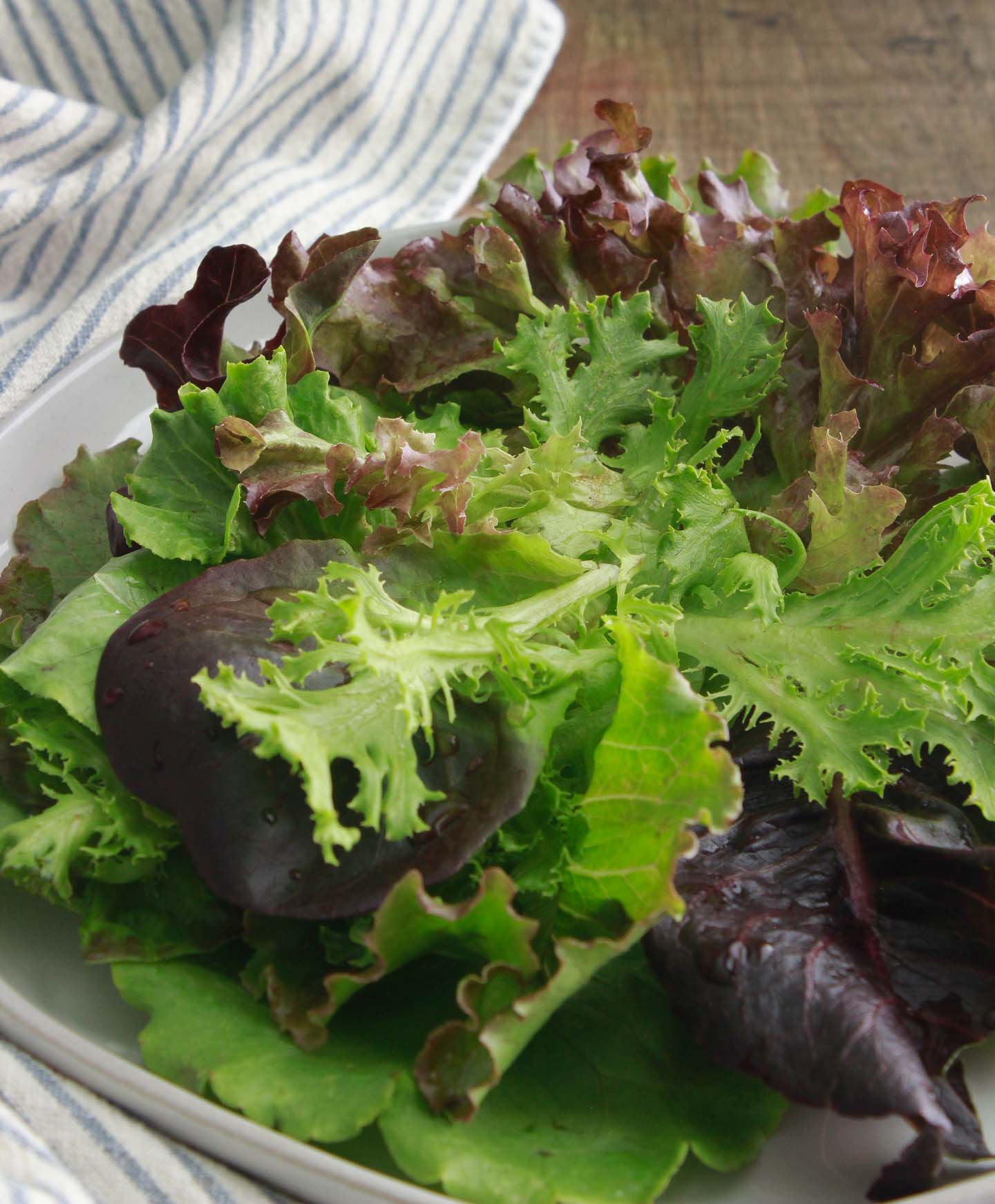 Salanova® baby lettuce blend
