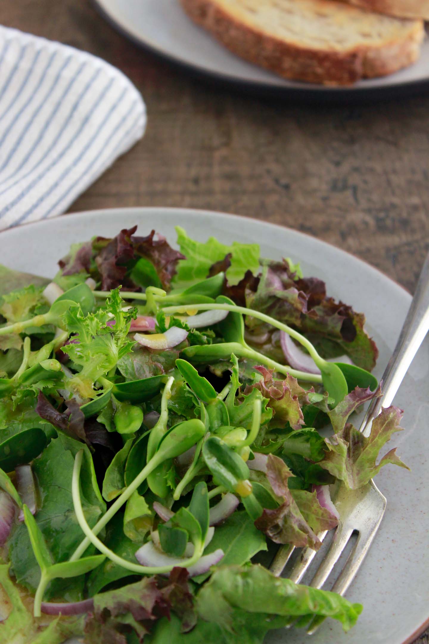 Plated Salanova® salad with Salanova® baby lettuces, sunflower shoots and red onion.