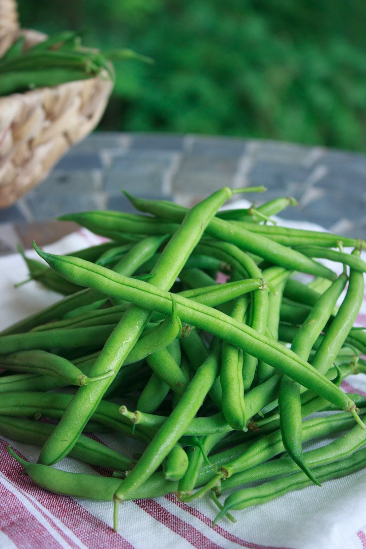 Farm fresh green beans to sauté