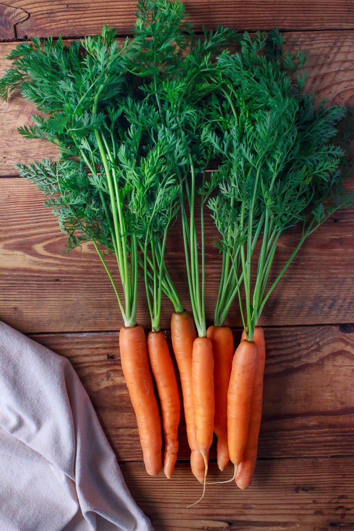 Farm-fresh carrots