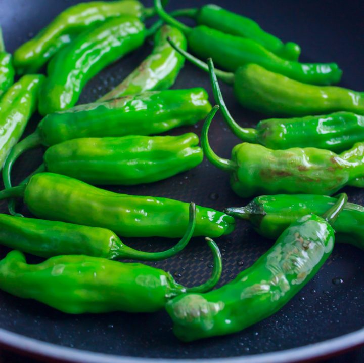 Blistered shishito peppers in a pan