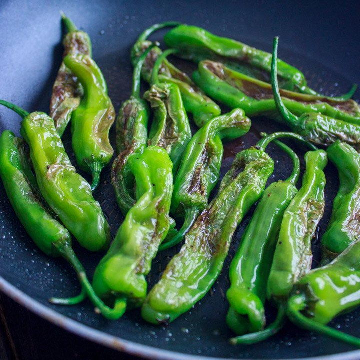 Blistered shishito peppers - sautéed in pan