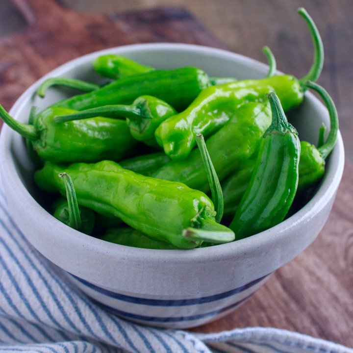 Bowl of shishito peppers from the farmers market