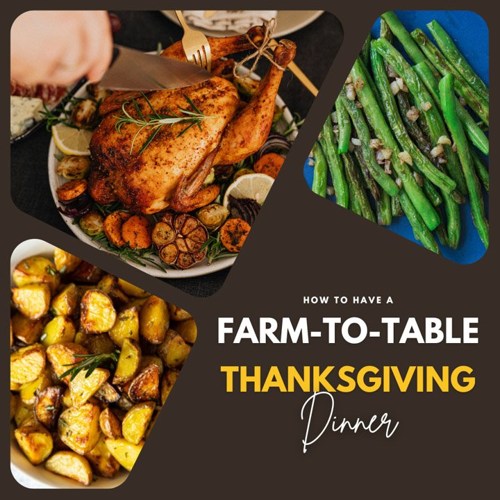 A Farm to Table Thanksgiving Dinner Fed by the Farm