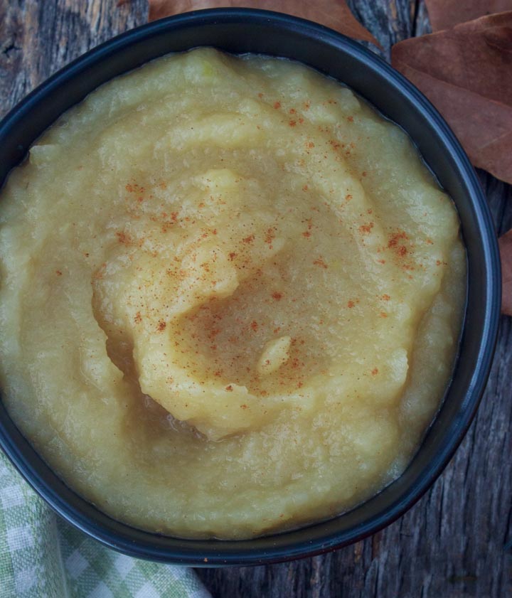 Apple sauce served with a dash of cinnamon