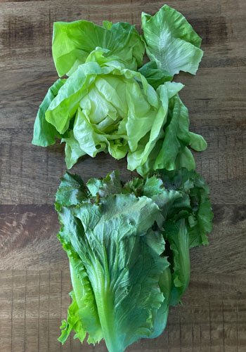 Local, organic lettuce: butter and romaine