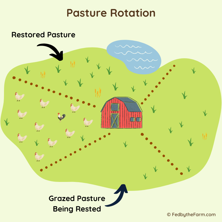 Free Range and Pasture Raised officially defined by HFAC for