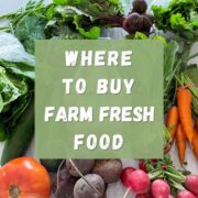 Where to Buy Farm Fresh Food