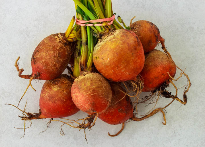 Organic golden beets from the farmers market