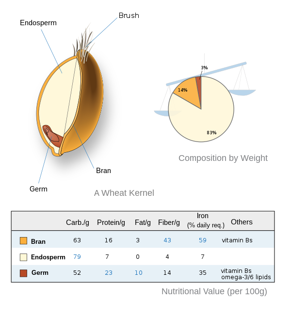 What is a Whole Food Diet? (Whole Foods Explained)