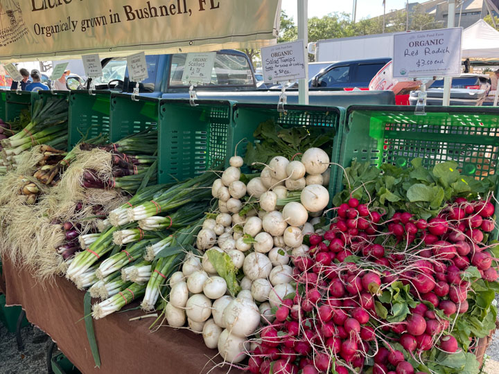 Little Pond Farm at the Saturday Morning Market in St. Petersburg, FL