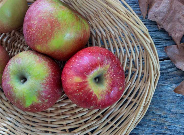 Basket of Fuji apples for making an apple galette