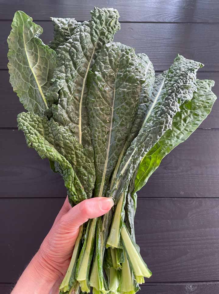 Holding a bundle of lacinato kale