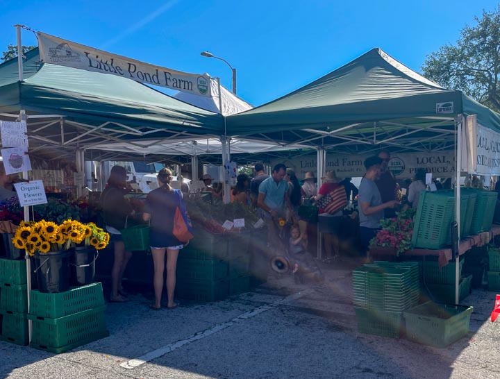 Little Pond Farm at the Saturday Morning Market St. Petersburg