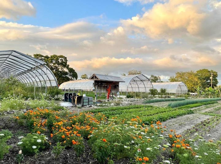 Meacham Urban Farm