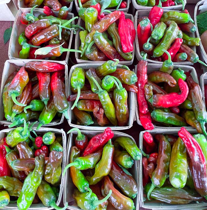 Shishito peppers at the farmers market, green and red 