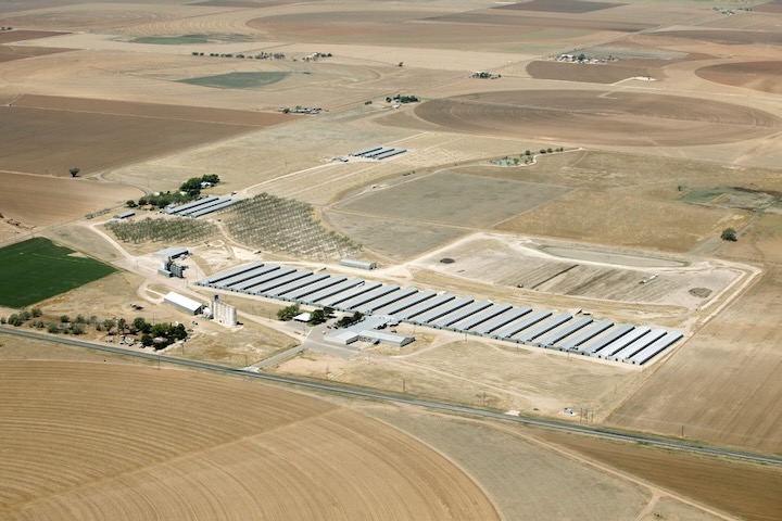 Aerial photo of an organic chicken factory farm