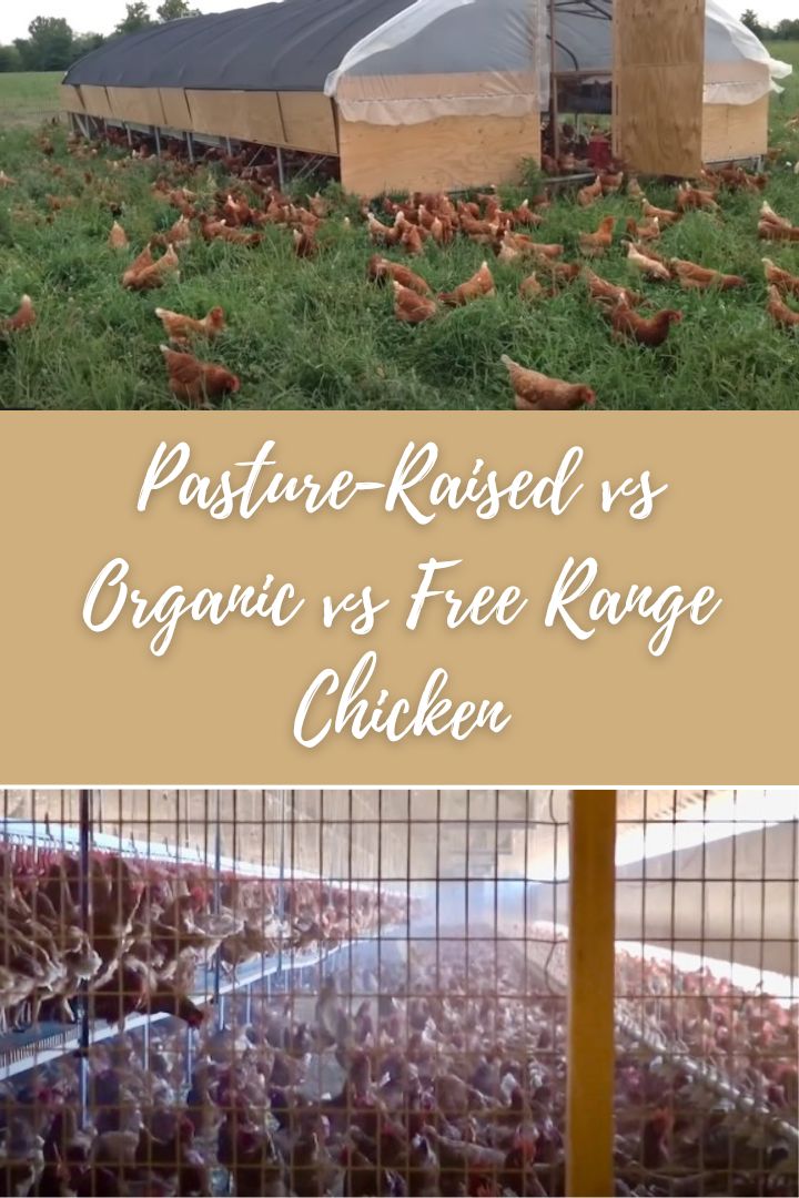 Chicken - Whole Bird - Certified Organic - Pasture Raised