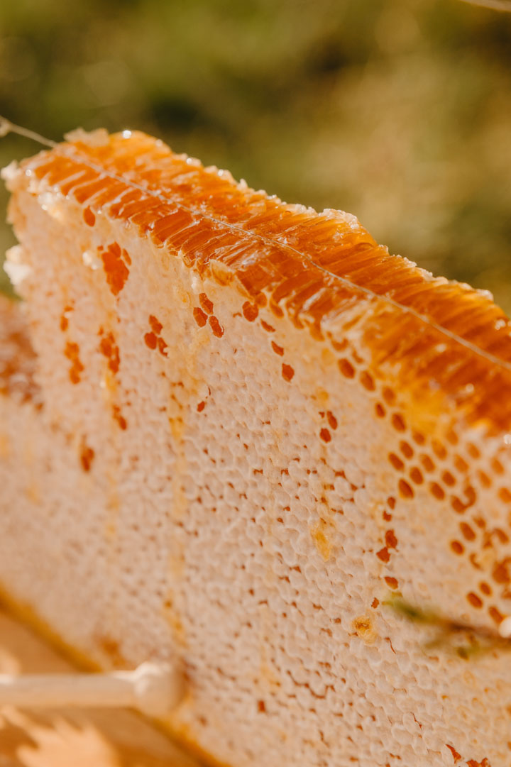 Raw honey on honeycomb