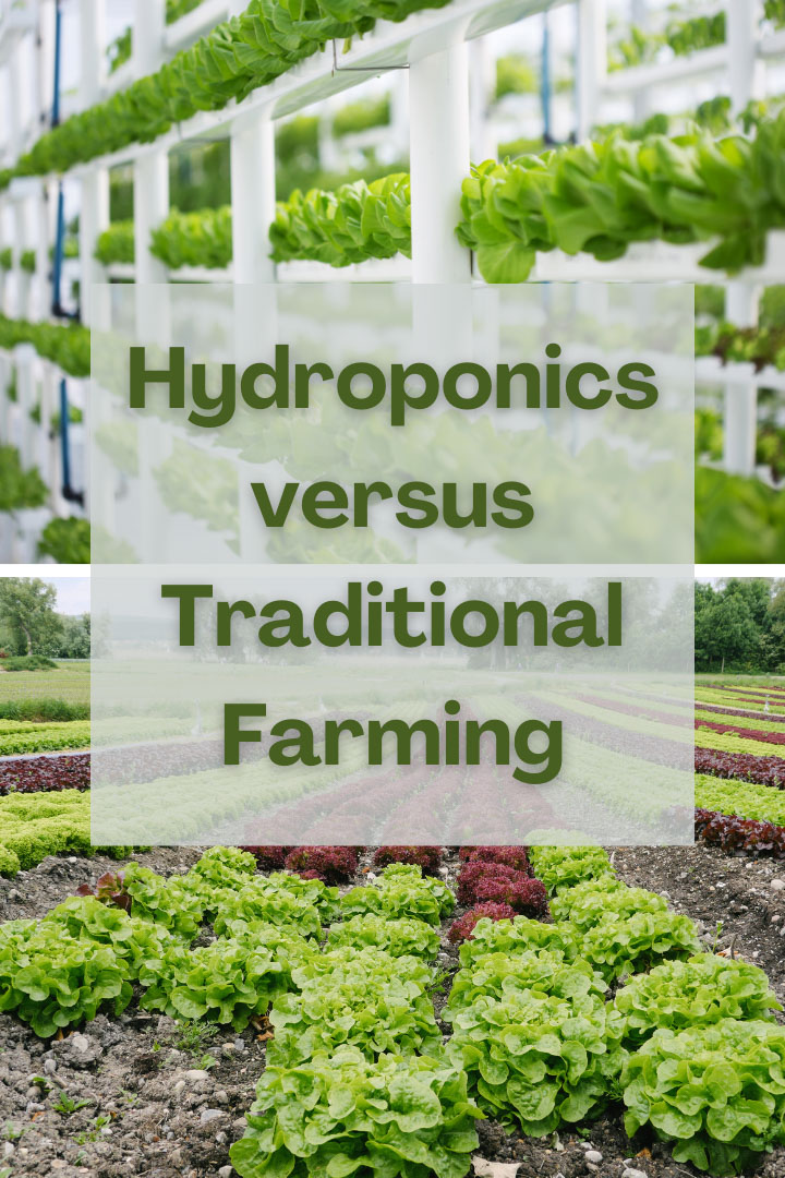 Hydroponics vs Traditional Farming (For the Food You Eat)