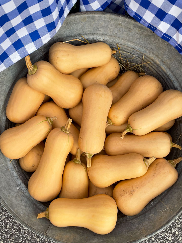 A bucket of butternut squash at the farmers market