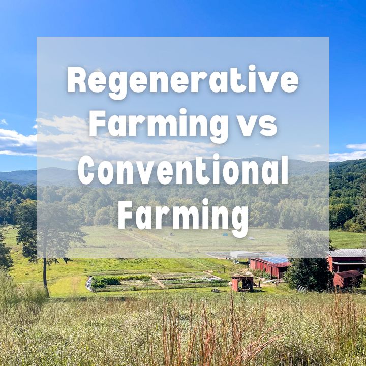 Regenerative Farming vs Conventional Farming - Photo of a regenerative farm